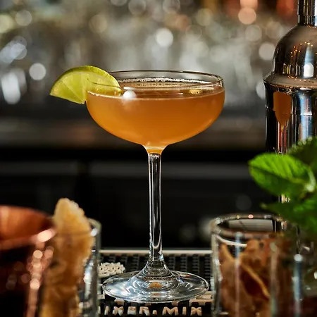 Gatsby By Happyculture Otel